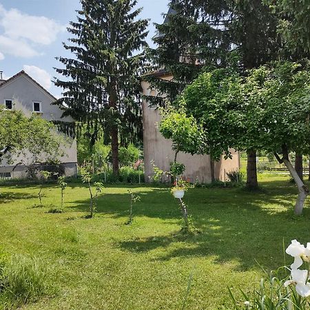 Villa Drenje Kljuc Brdovecki エクステリア 写真