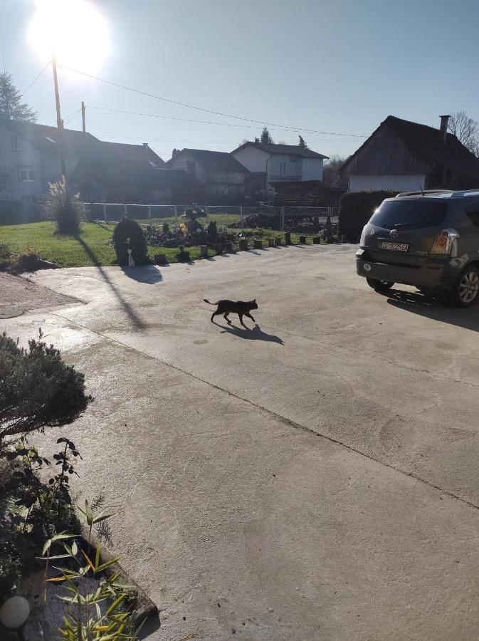 Villa Drenje Kljuc Brdovecki エクステリア 写真