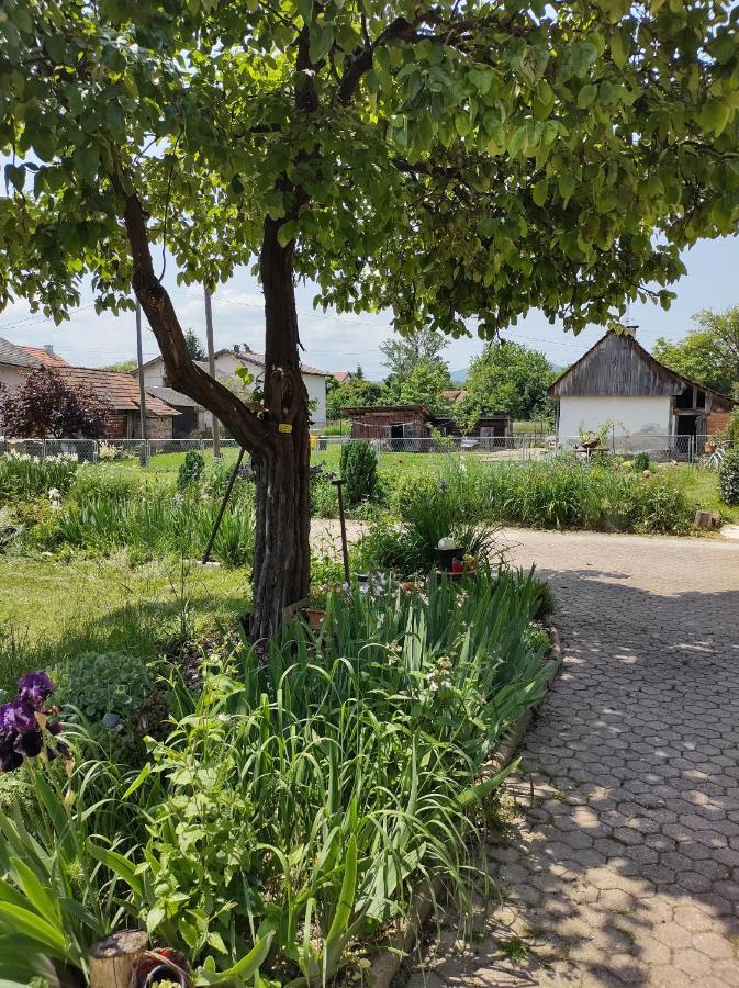 Villa Drenje Kljuc Brdovecki エクステリア 写真