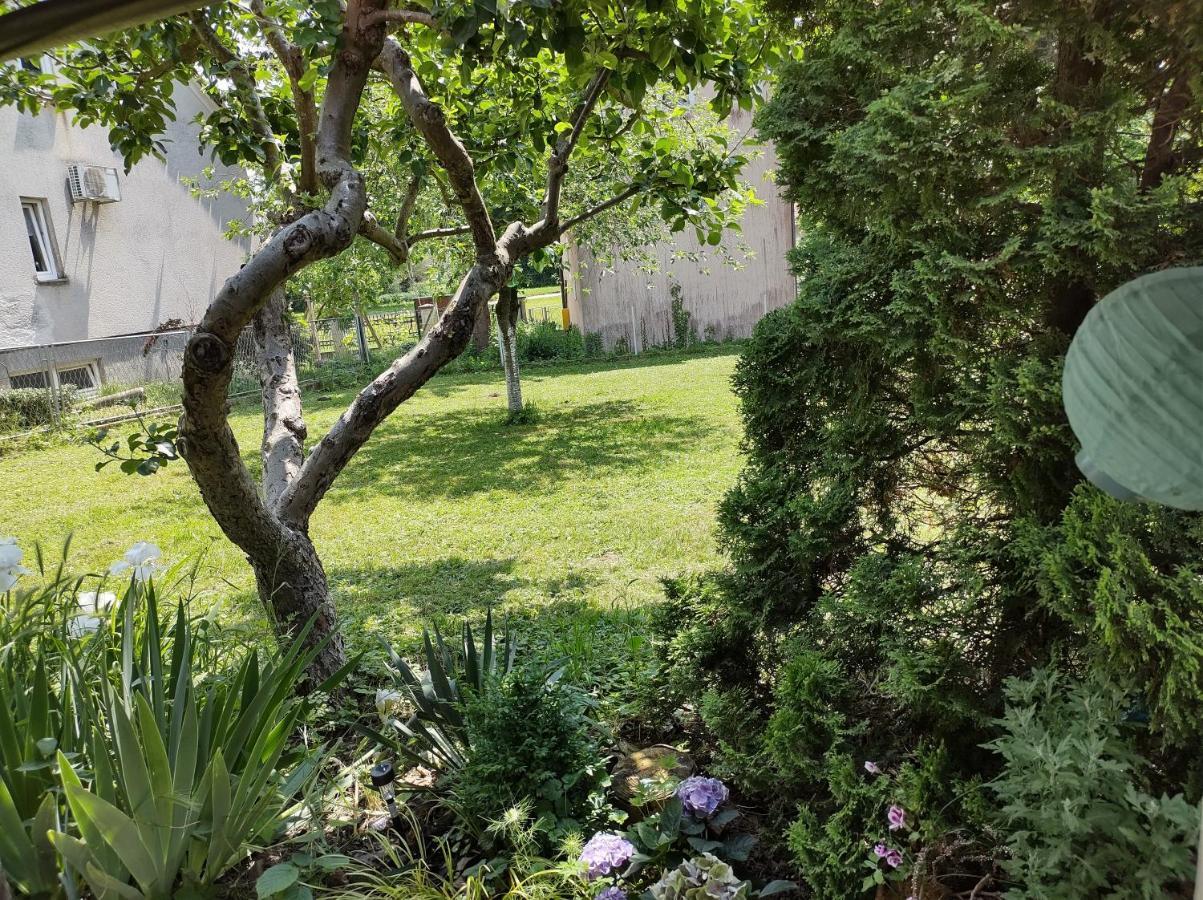 Villa Drenje Kljuc Brdovecki エクステリア 写真