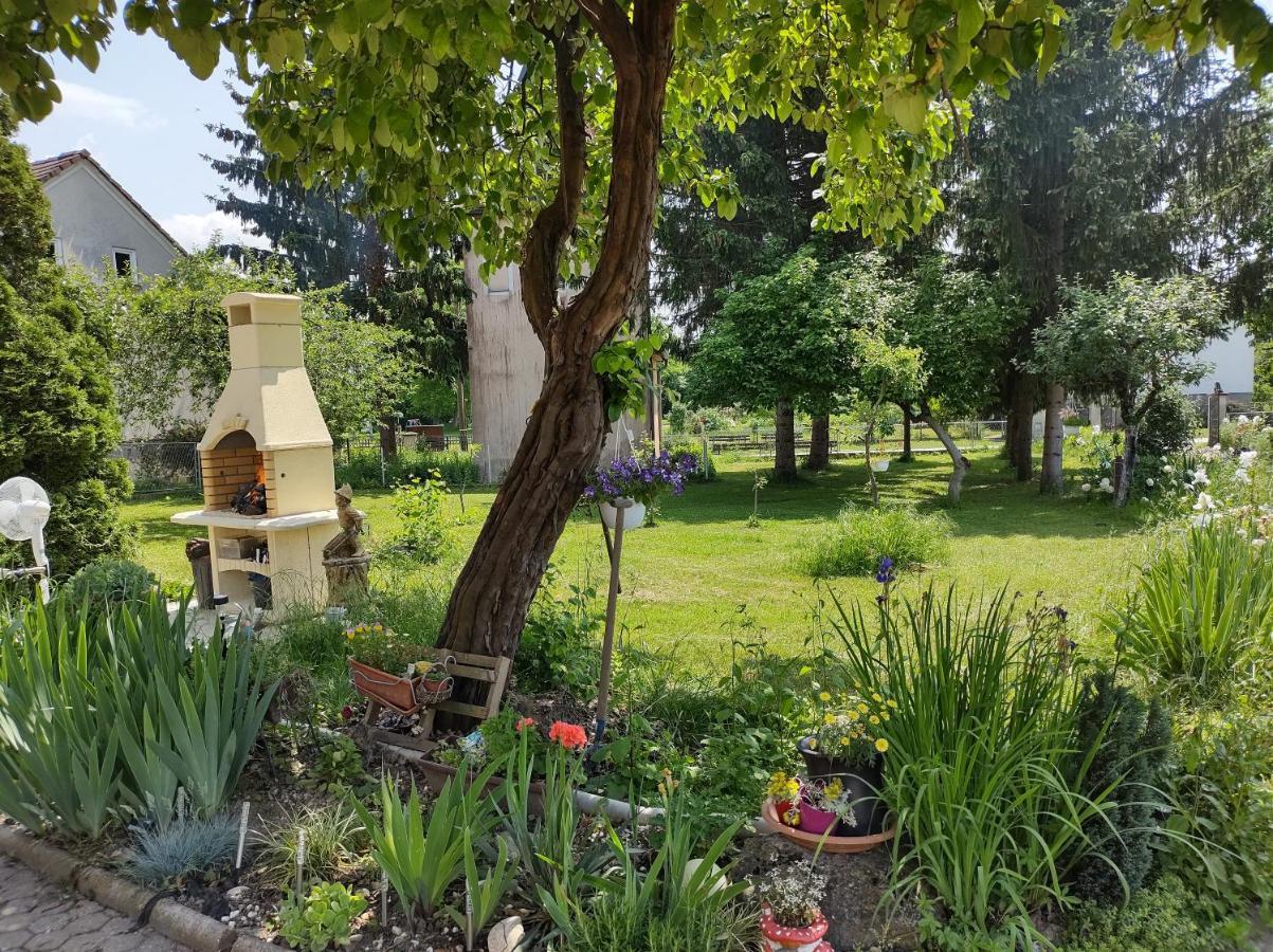 Villa Drenje Kljuc Brdovecki エクステリア 写真
